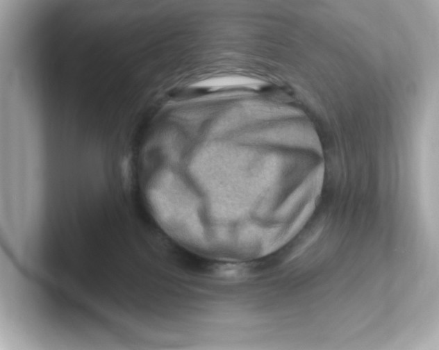 X0000101090088200807241016