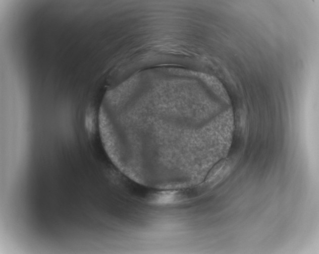 X0000101090090200807241016