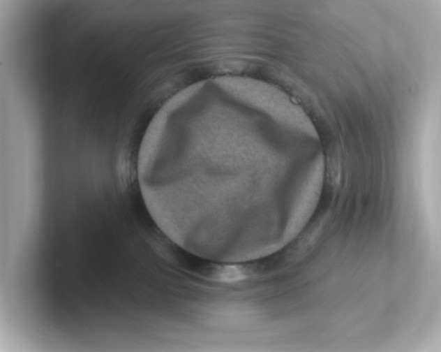 X0000101090091200807241016