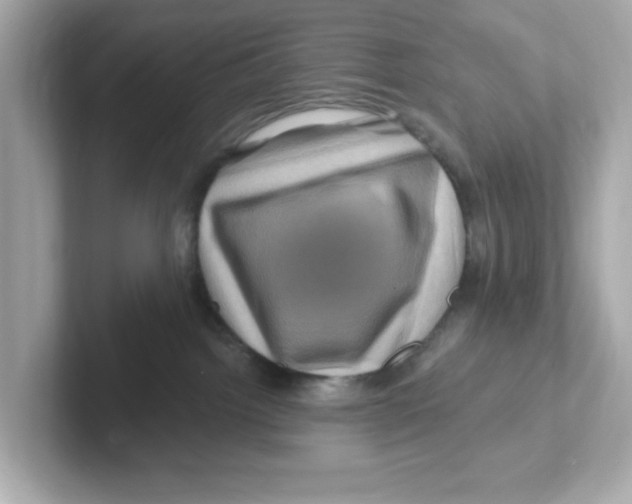 X0000101090092200807241016