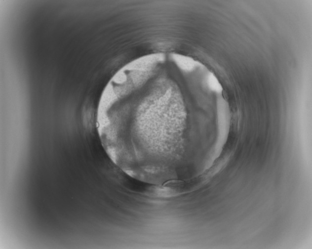 X0000101090093200807241016