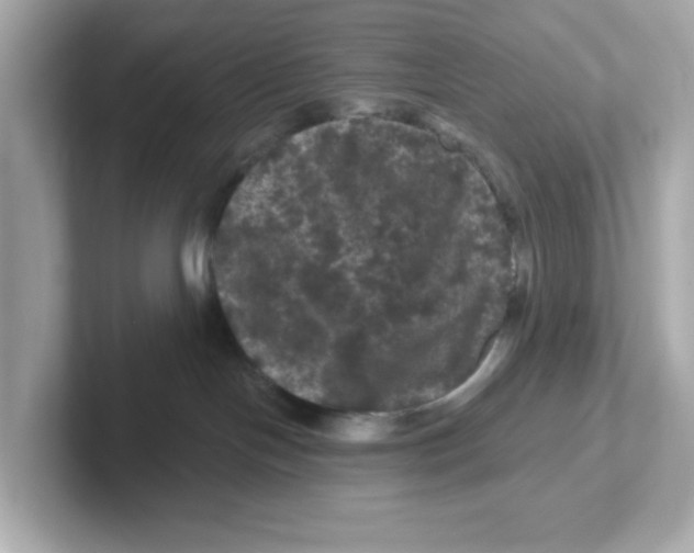 X0000101090094200807241016