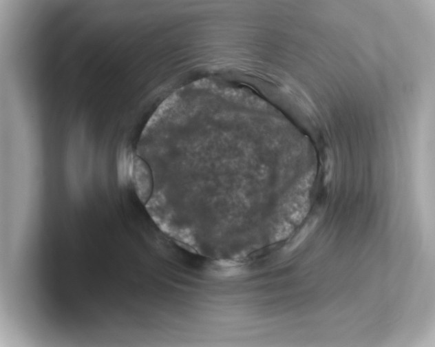 X0000101090095200807241016
