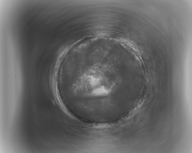 X0000101090097200807241016