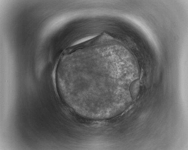 X0000101090099200807241016