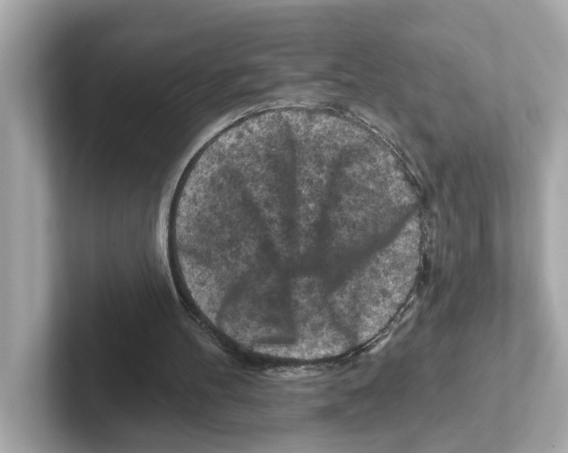 X0000101090100200807241016
