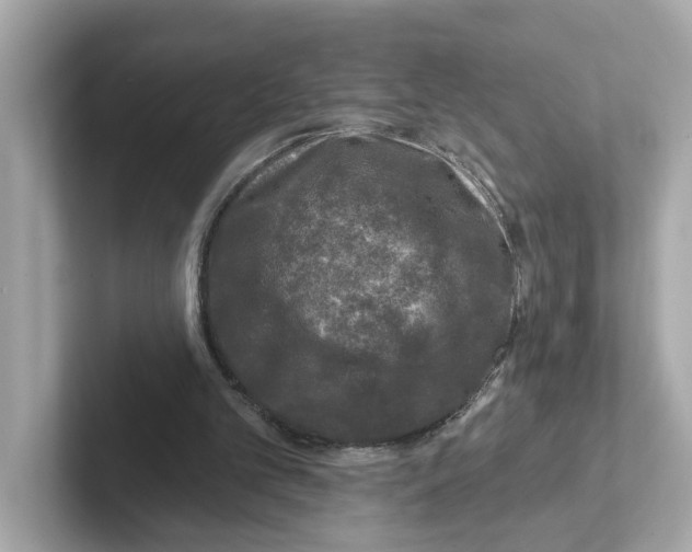 X0000101090101200807241016