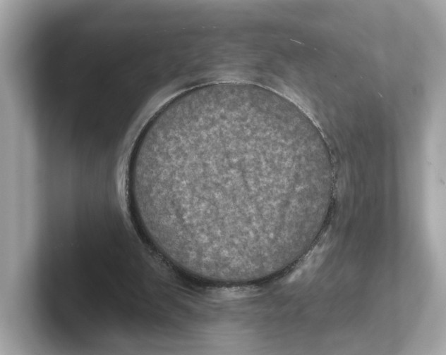 X0000101090103200807241016