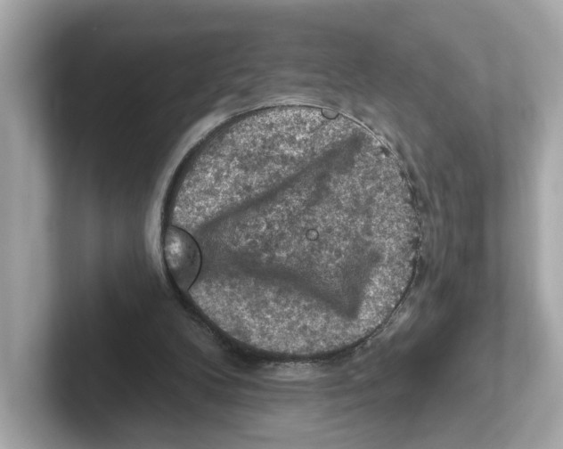 X0000101090104200807241016