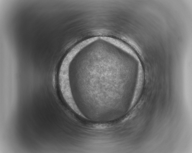 X0000101090105200807241016