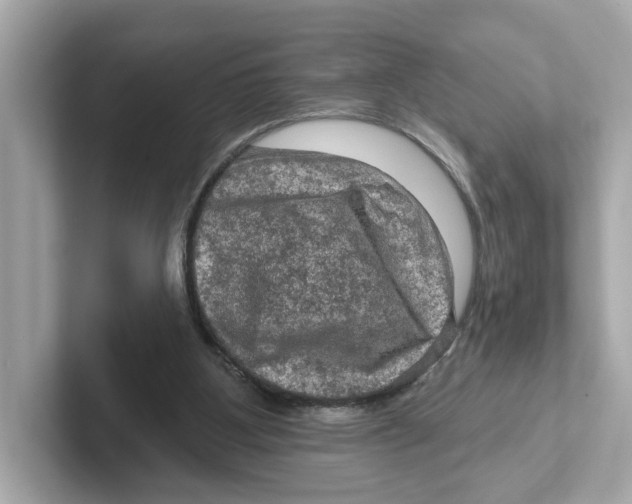 X0000101090107200807241016