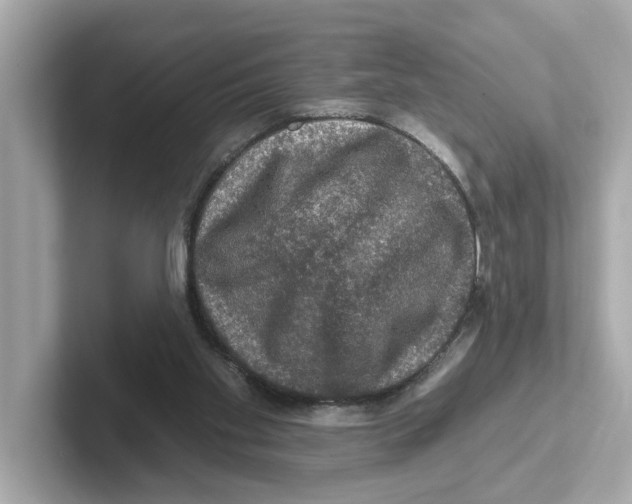X0000101090109200807241016