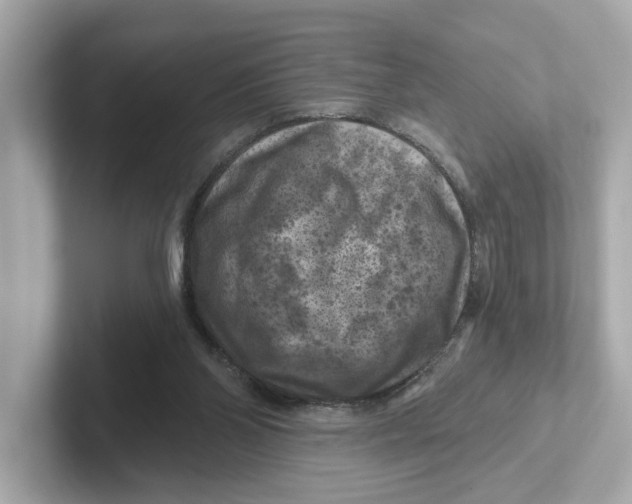X0000101090110200807241016