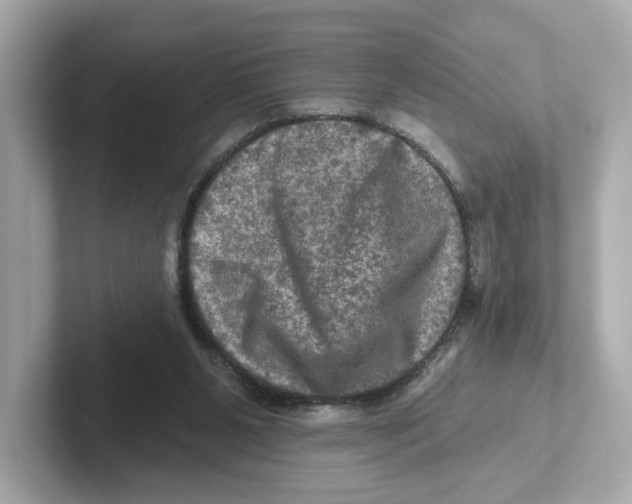 X0000101090111200807241016