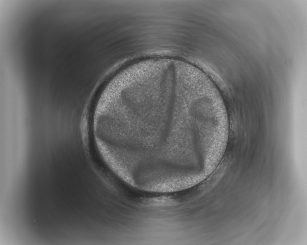 X0000101090112200807241016
