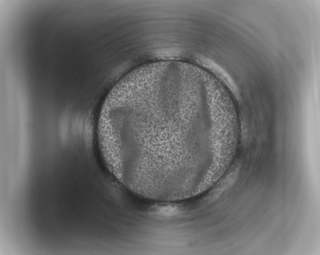 X0000101090113200807241016
