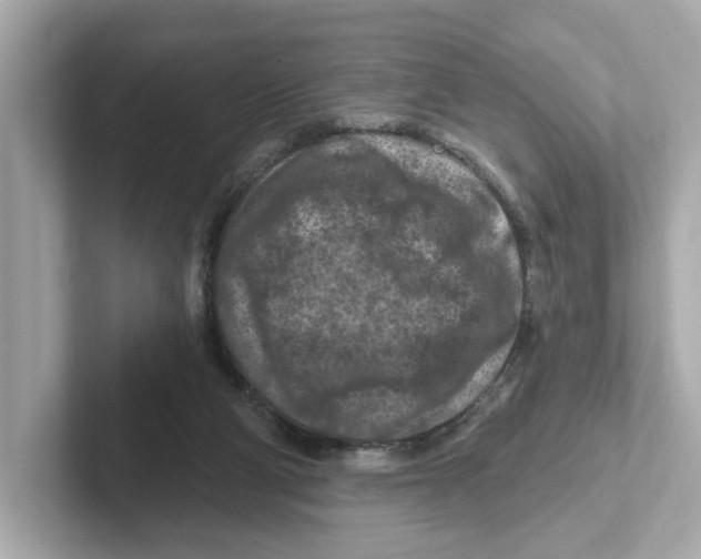 X0000101090114200807241016