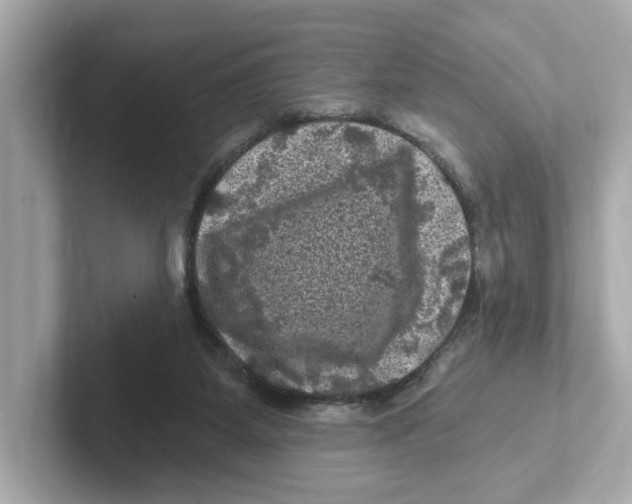 X0000101090115200807241016