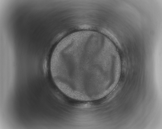 X0000101090116200807241016