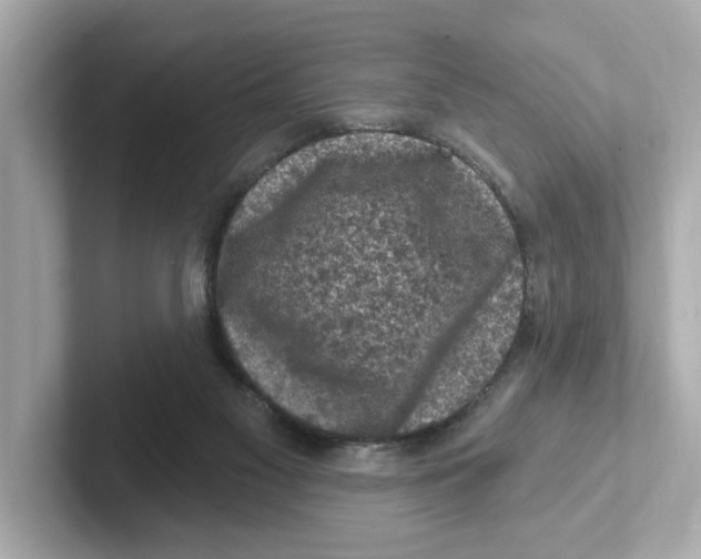 X0000101090117200807241016