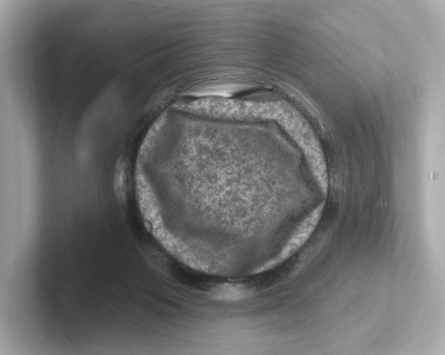 X0000101090119200807241015