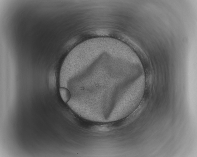X0000101090120200807241015