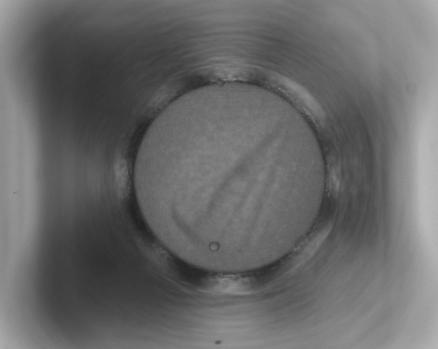 X0000101090121200807241015