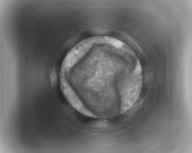 X0000101090124200807241015