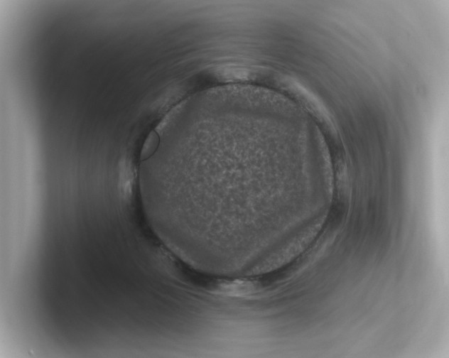 X0000101090125200807241015