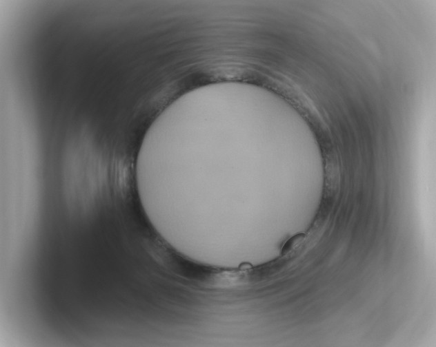 X0000101090126200807241015