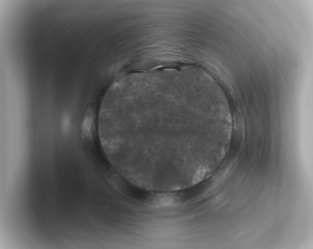 X0000101090127200807241015