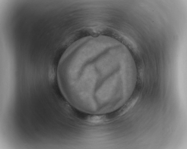 X0000101090129200807241015