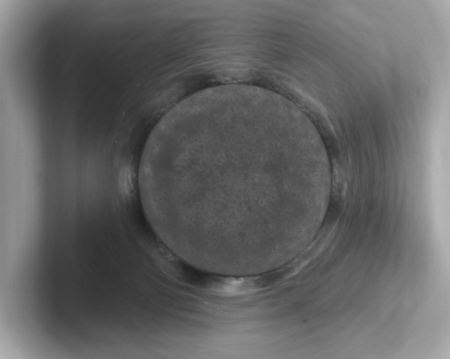 X0000101090130200807241015
