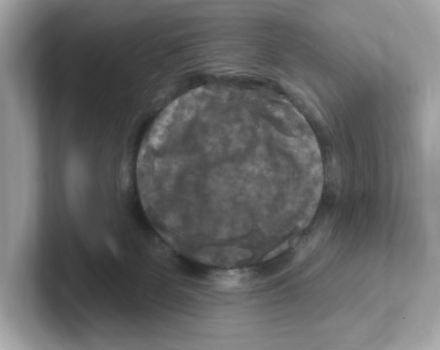 X0000101090131200807241015