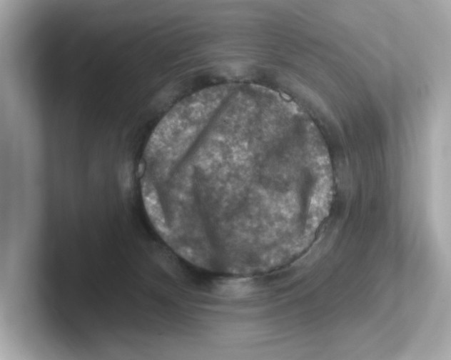X0000101090132200807241015