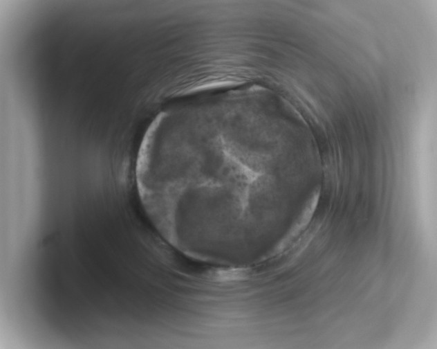 X0000101090134200807241015