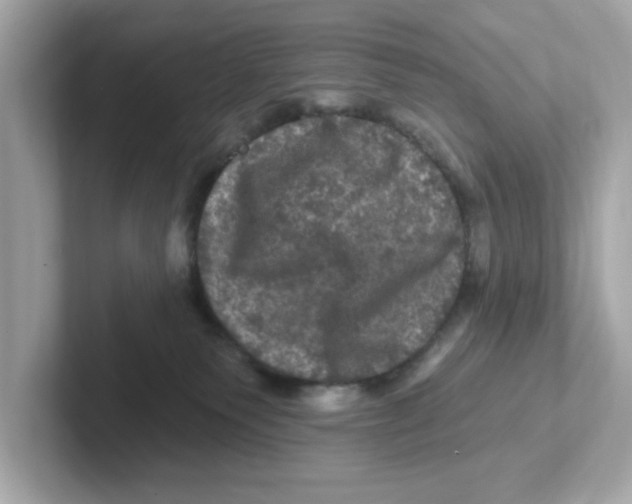 X0000101090135200807241015