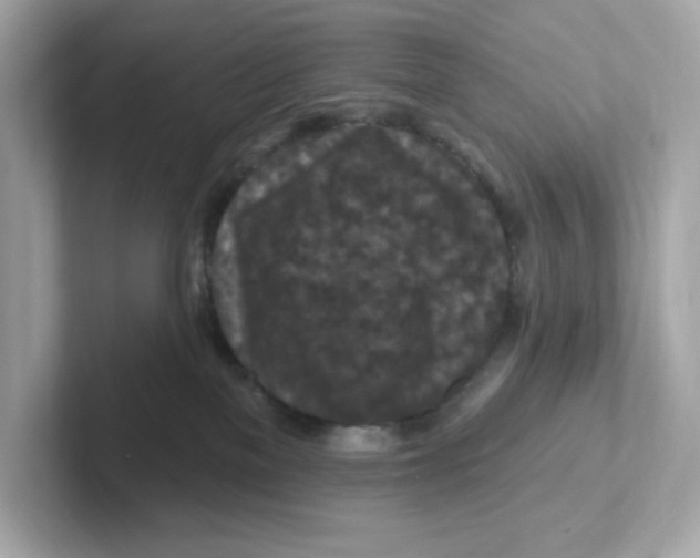 X0000101090137200807241015