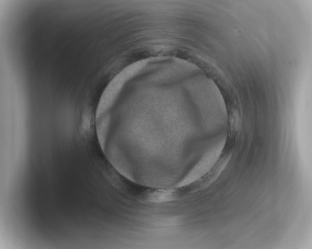 X0000101090138200807241015
