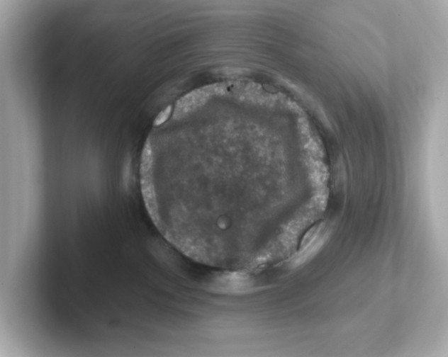 X0000101090140200807241015