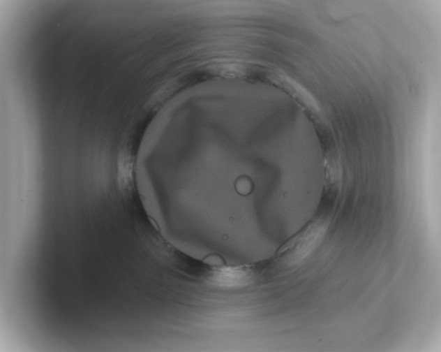 X0000101090141200807241015