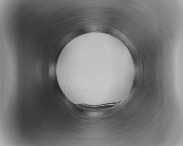 X0000101090142200807241015