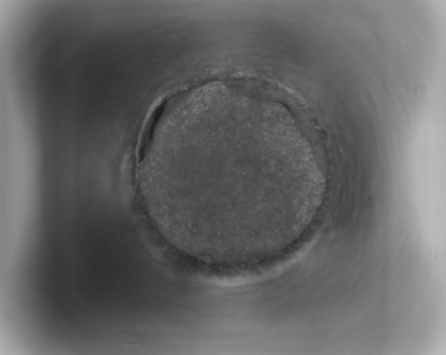 X0000101090144200807241015
