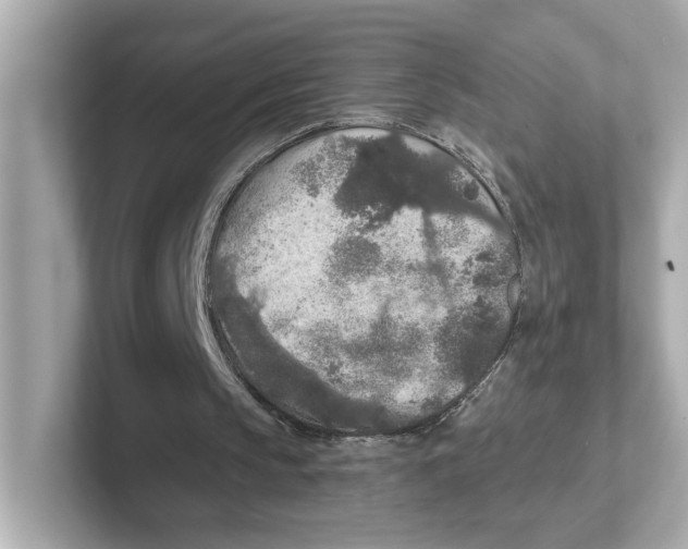 X0000101090145200807241015