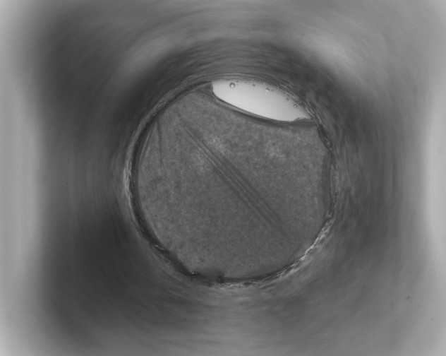 X0000101090146200807241015