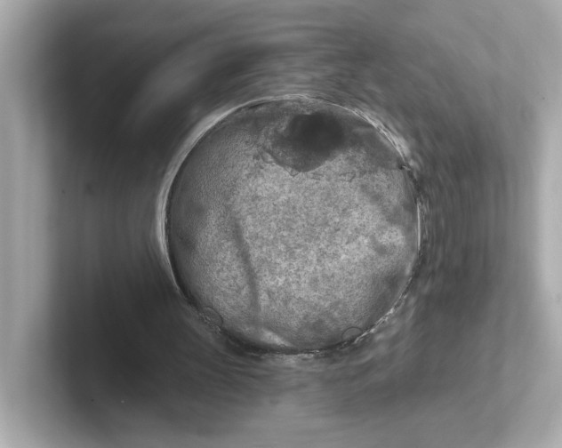 X0000101090147200807241015
