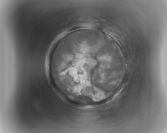 X0000101090149200807241015