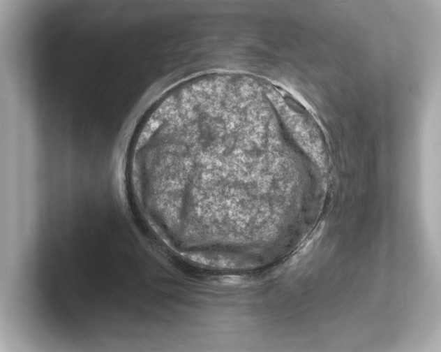 X0000101090151200807241015