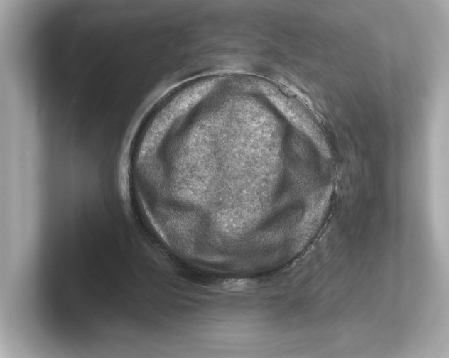 X0000101090152200807241015