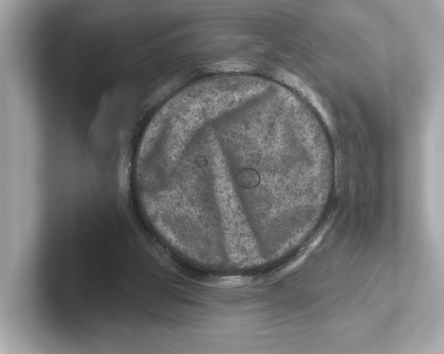 X0000101090153200807241015